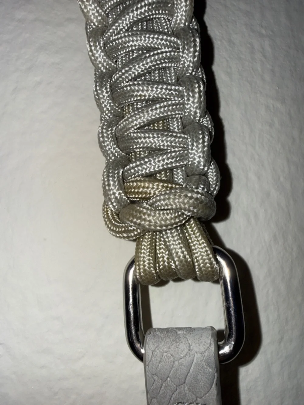 Light Gray Snake-Embossed Crossbody Bag